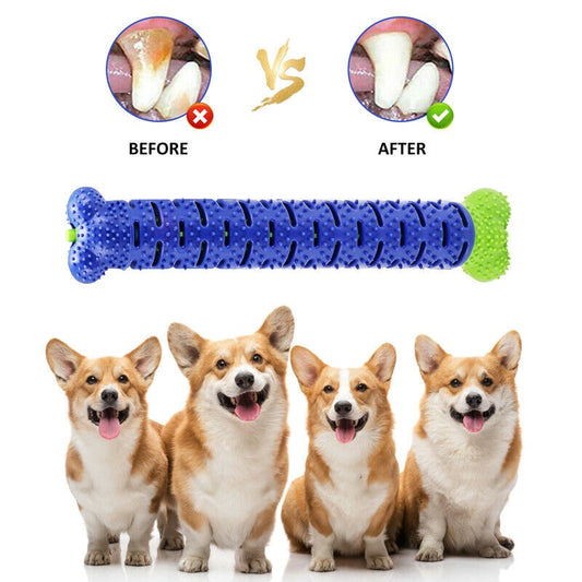 Jouet à mâcher pour chien, brosse à dents pour animaux de compagnie, nettoyage des dents molaires, bâton de brossage en Silicone pour chien