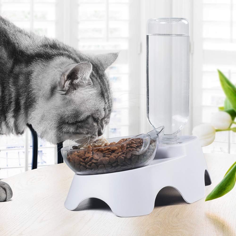 2 in 1 Futter und Wasserspender für Ihre Haustiere ob Hunde oder Katzen