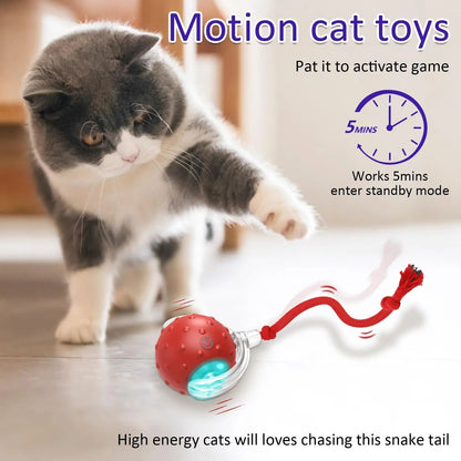 Neue Katze Rolling Ball Vogel Zwitschern Interaktive Katzen Haustiere Spielzeug Mot