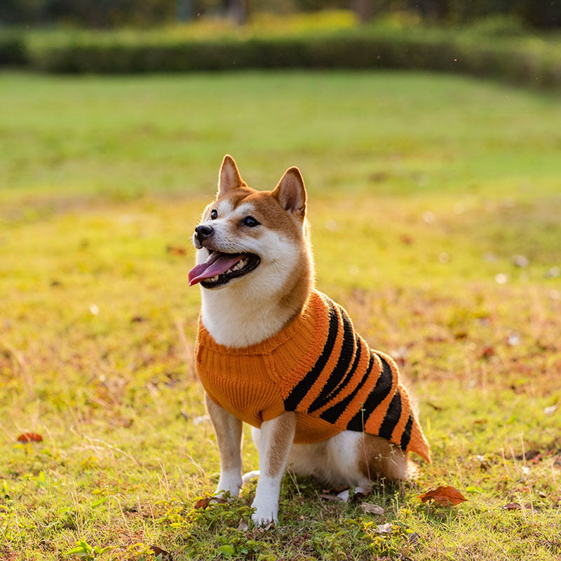 Halloween Hunde Pullover Haustier Kostüm Teddy Warm Freizeit Pullover Cosplay Kleidung für Hunde Haustiere Outfits