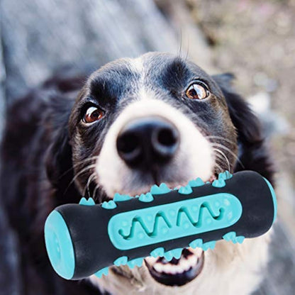Brosse à dents pour chien, jouet à mâcher, bâton de nettoyage des dents pour chiot, dents en caoutchouc naturel, jouet molaire pour chiens et animaux de compagnie