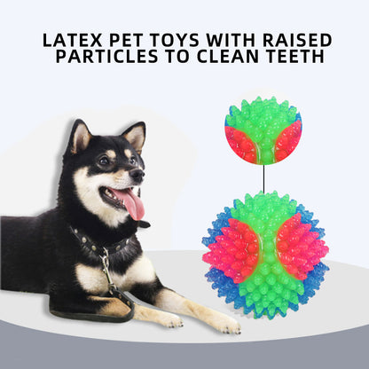 Balle interactive, lumineuse et élastique pour petit chien