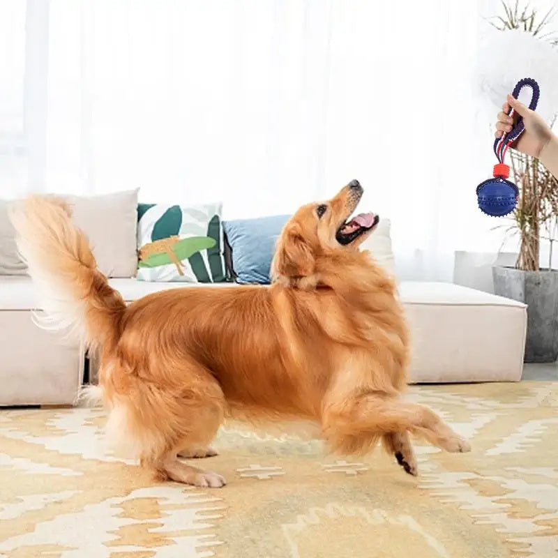 Interaktives Hundespielzeug Ball Interaktiver Beißring mit Seil Hundeball Haustierzubehör Kau-Ball Training für Wohnzimmer See Strand